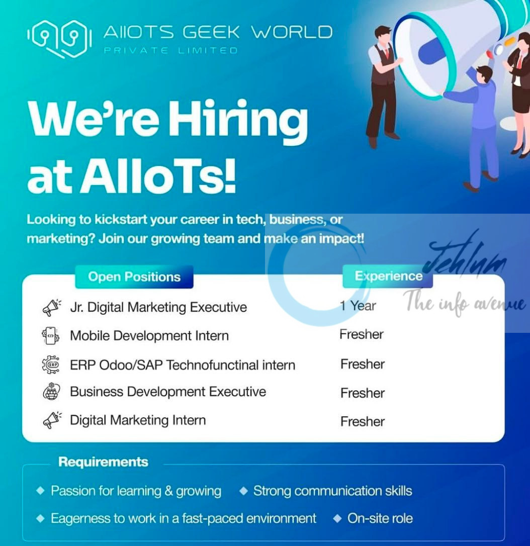 ALLOTS GEEK WORLD PVT LTD SRINAGAR JOB OPPORTUNITIES 2025