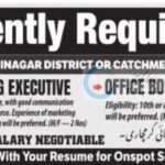 INTERNATIONAL ADVERTISING AGENCY IAA SRINAGAR MARKETING EXECUTIVE/OFFICE BOY JOB OPPORTUNITIES 2025