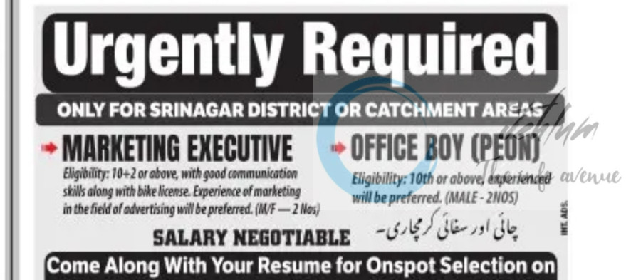 INTERNATIONAL ADVERTISING AGENCY IAA SRINAGAR MARKETING EXECUTIVE/OFFICE BOY JOB OPPORTUNITIES 2025