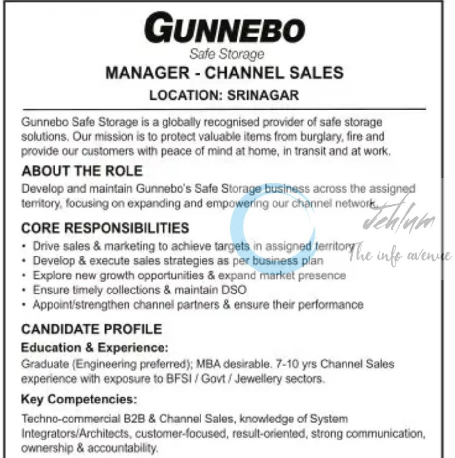 Gunnebo Safe Storage srinagar Manager Channel Sales job opportunities 2025