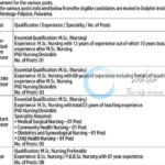 DOLPHIN INSTITUTE OF MEDICAL SCIENCES AND TECHNOLOGY PULWAMA JOB OPPORTUNITIES NOTICE 02 of 2025