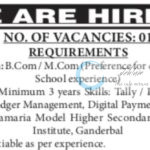 QAMARIA MODEL HIGHER SECONDARY EDUCATIONAL INSTITUTE GANDERBAL JOB OPPORTUNITIES 2025