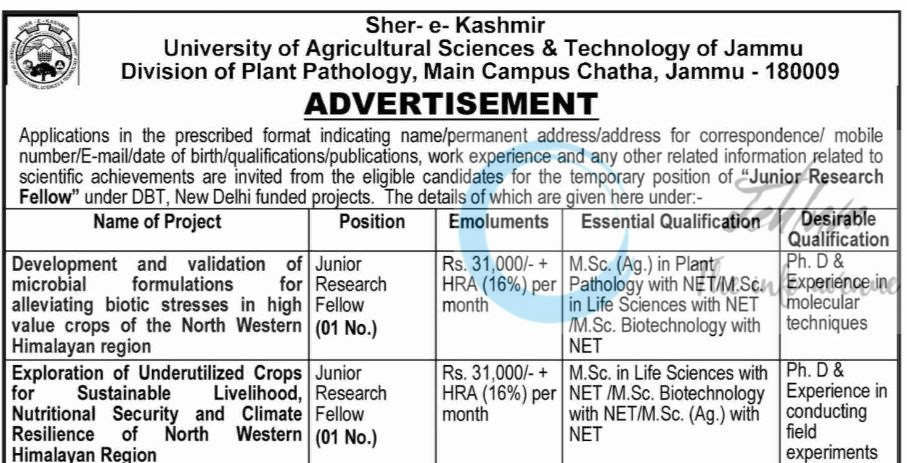 SKUAST JAMMU DIVISION OF PLANT PATHOLOGY JRF JOB OPPORTUNITIES NOTICE AUJ/PP/2025-26/F-63/3169-3172