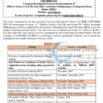 IBPS CRP RRBs Officers Scale I II III Office Assistants Multipurpose Recruitment Notification 2025