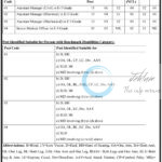 THDC India Limited THDCIL Assistant Manager/ Senior Medical Officer Recruitment Opportunities Advt No 08/2025