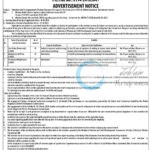 THE DISTRICT SOCIAL WELFARE OFFICER GANDERBAL ONE-STOP-CENTRE OSC JOB OPPORTUNITIES 2025