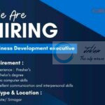 ICORE GLOBAL SRINAGAR BUSINESS DEVELOPMENT EXECUTIVE JOB OPPORTUNITIES 2025