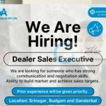 AMCO AUTOMOBILES PVT LTD DEALER SALES EXECUTIVE JOB OPPORTUNITIES SRINAGAR/BUDGAM/GANDERBAL 2025