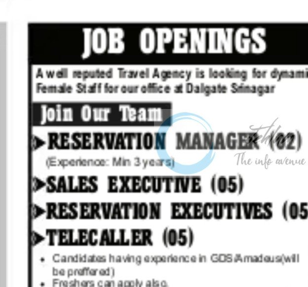 HIMALAYAN VINTAGE TRIPS SRINAGAR JOB OPPORTUNITIES 2025