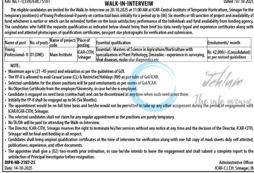 ICAR Central Institute of Temperate Horticulture CITH Srinagar Young Professional-II job opportunities walk in 1-1/339/Estt/5181