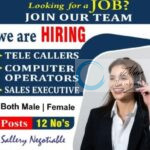 SKY LIGHT ENERGY SRINAGAR JOB OPPORTUNITIES 2025