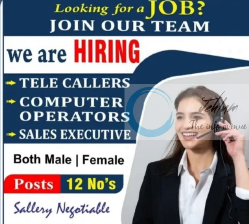 SKY LIGHT ENERGY SRINAGAR JOB OPPORTUNITIES 2025