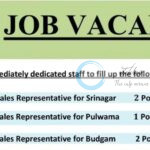 Adlife Srinagar Pulwama and Budgam  Medical Sales Representative job Opportunities 2025