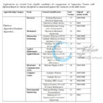 Delhi Technological University DTU Apprenticeship opportunities 2025