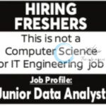 Hire Hippo Junior Data Analyst Work from Home Job Opportunities 2025