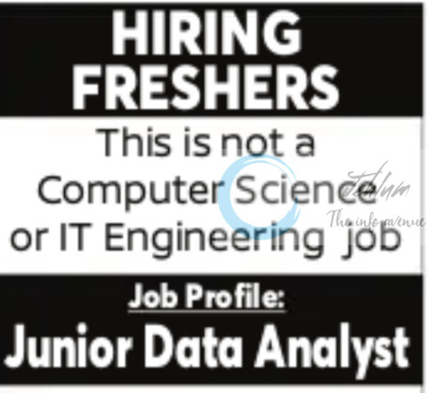 Hire Hippo Junior Data Analyst Work from Home Job Opportunities 2025 Hire Hippo Junior Data Analyst Work from Home Job Opportunities 2025