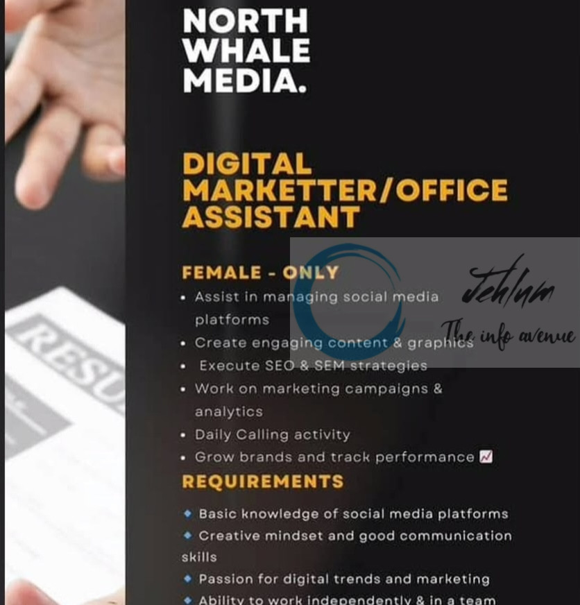 North Whale Media Srinagar Digital Marketer/ Office Assistant Jobs Opportunities 2025 2 North Whale Media Srinagar Digital Marketer/ Office Assistant Jobs Opportunities 2025