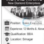 New Diamond Enterprises Sales Executive Jobs Srinagar Excellent Opportunity 2025