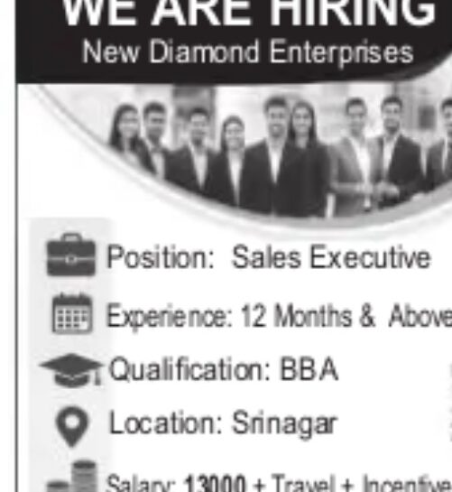New Diamond Enterprises srinagar Sales Executive Job opportunities 2025 New Diamond Enterprises Sales Executive Jobs Srinagar Excellent Opportunity 2025