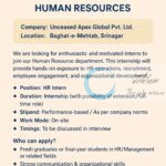 Unceased Apex Global Pvt Ltd Srinagar HR Intern Opportunities 2025