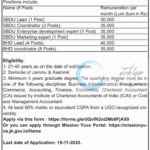 District Administration Reasi Recruitment 2025 Mission YUVA SBDU/BHD Coordinator Jobs Opportunity
