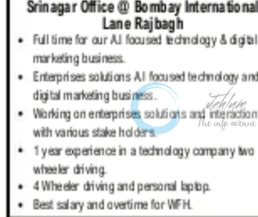 INDIA TECH WIZARDS PVT LTD SRINAGAR TECHNOLOGY EXECUTIVE JOB OPPORTUNITIES 2025