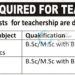 NEW WAVE PUBLIC HIGH SCHOOL GANDERBAL TEACHING JOB OPPORTUNITIES 2025