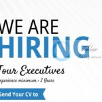 TRIPMORE Srinagar Tour Executives job opportunities 2025