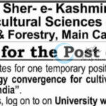 SKUAST-J  Faculty of Horticulture and Forestry Field Worker Job Opportunities 2025