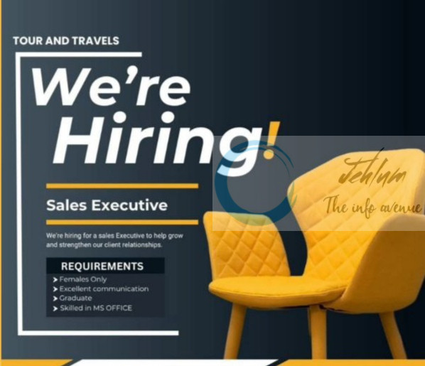 Trek De Kashmir Tour and Travels Srinagar Sales Executive job opportunities 2025
