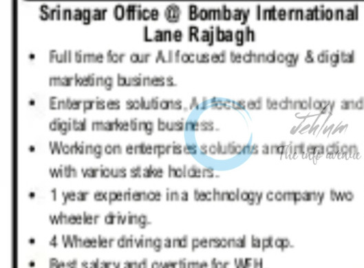 INDIA TECH WIZARDS PVT LTD ITW SRINAGAR TECHNOLOGY EXECUTIVE JOB OPPORTUNITIES 2025