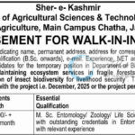Sher-e-Kashmir University of Agricultural Sciences and Technology Jammu SRF job opportunities walk in AUJ/DOS/25-26/F-DBT/59-61