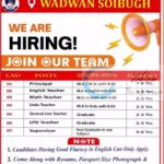 Senior Delhi International School SDIS Soibugh faculty job opportunities 2025