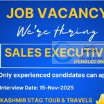 KASHMIR STAG TOUR AND TRAVELS KSTT SRINAGAR Sales Executive JOB OPPORTUNITIES 2025
