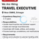 Miraco srinagar travel executive job opportunities 2025