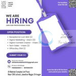 White Stone Data srinagar Interns and Professionals job opportunities 2025