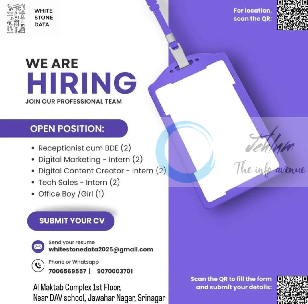 White Stone Data srinagar Interns and Professionals job opportunities 2025