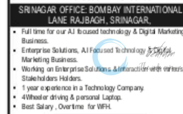 INDIA TECH WIZARDS PVT LTD SRINAGAR TECHNOLOGICAL EXECUTIVE JOB OPPORTUNITIES 2025