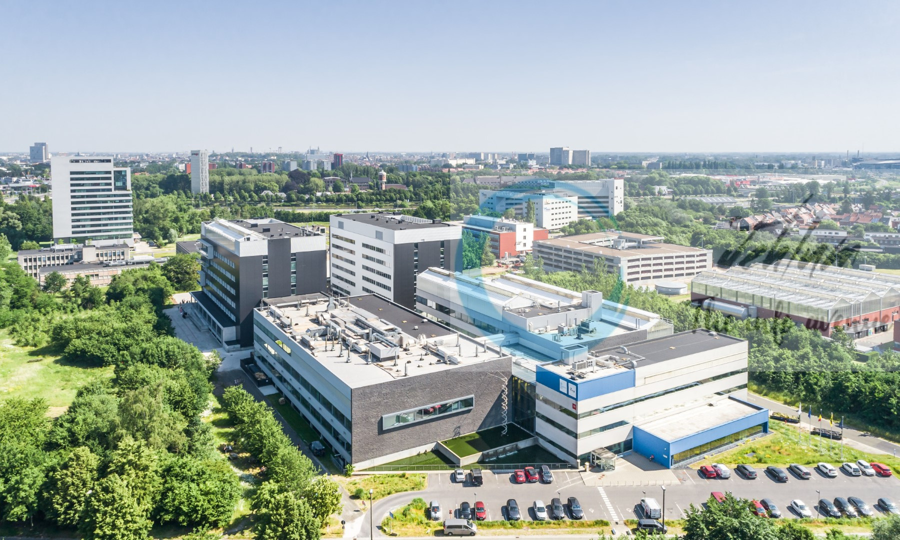 VIB UGent Center for Inflammation Research belgium Innate Antiviral Immunity and Autoinflammation phd opportunities 2025