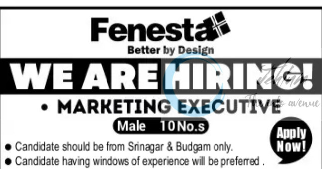 Fanesta budgam marketing executive job opportunities 2025
