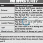 Ramzaan College of Nursing faculty