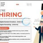 White Stone Data WSD Srinagar Content Creators/ Digital Marketing Internship Opportunities 2025