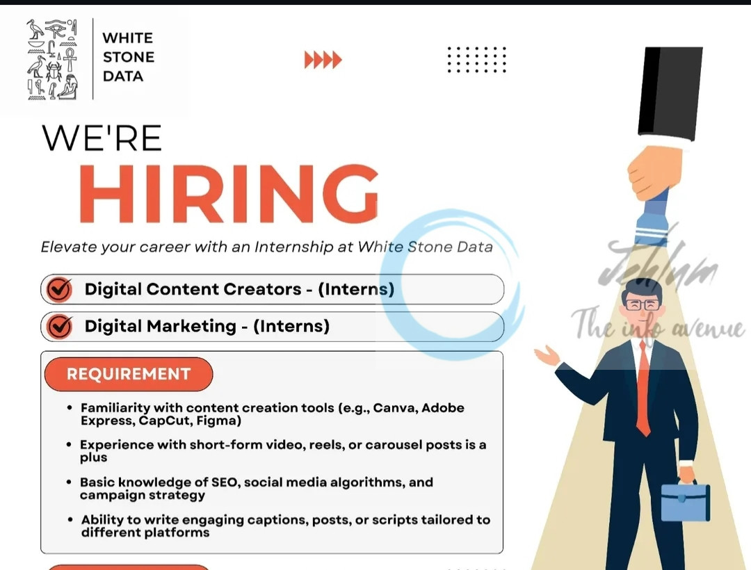 White Stone Data WSD Srinagar Content Creators/ Digital Marketing Internship Opportunities 2025