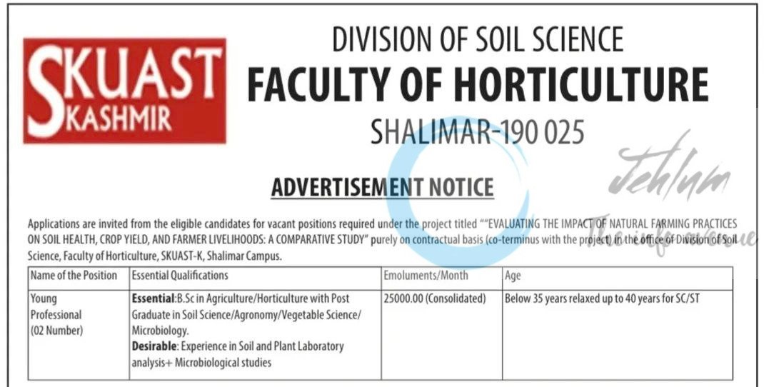 SKUAST k DIVISION OF SOIL SCIENCE FACULTY OF HORTICULTURE YOUNG PROFESSIONAL JOB OPPORTUNITIES 2025