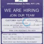 UNCEASEDAPEX GLOBAL UGP srinagar Customer Support Associate job opportunities 2025