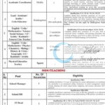 Dubai Grand International School DGIS Srinagar Teaching and Non-Teaching job opportunities 2026