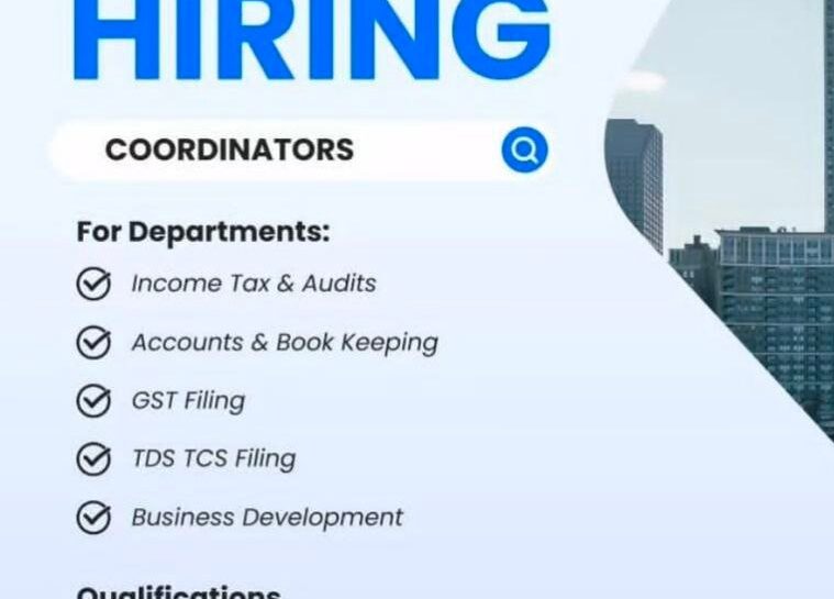 Konsulte Partners KP Professional Coordinator Job opportunities 2026