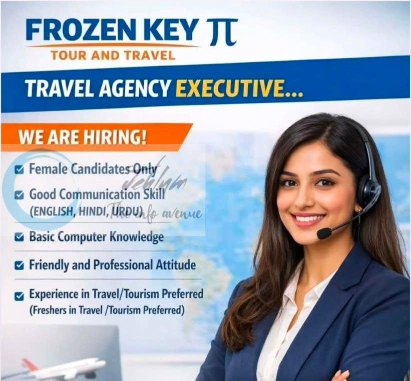 Frozen Key Tour and Travel srinagar Travel Agency Executive job opportunities 2026