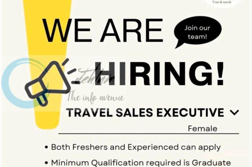 Brown Chinar Kashmir srinagar travel sales executive job opportunities 2026