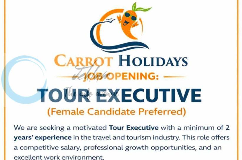 Carrot Holidays srinagar tour executive job opportunities 2026